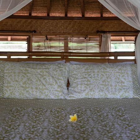 Bali Firefly Bnb Убуд Стая снимка