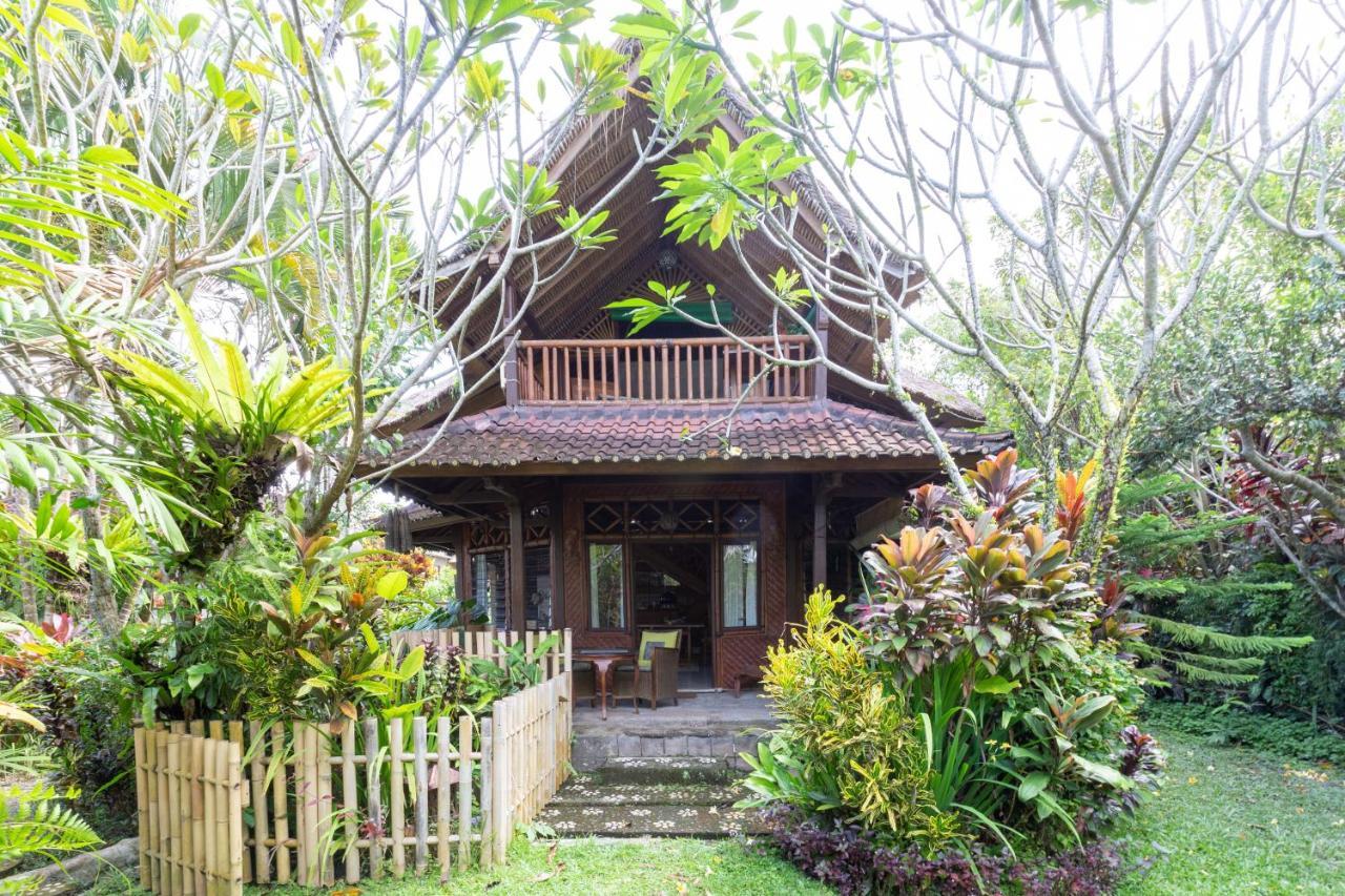 Bali Firefly Bnb Убуд Екстериор снимка