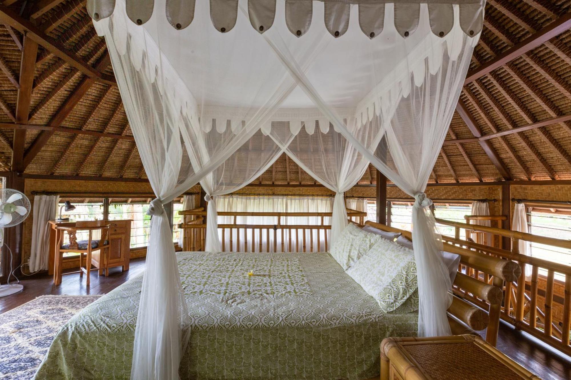 Bali Firefly Bnb Убуд Стая снимка