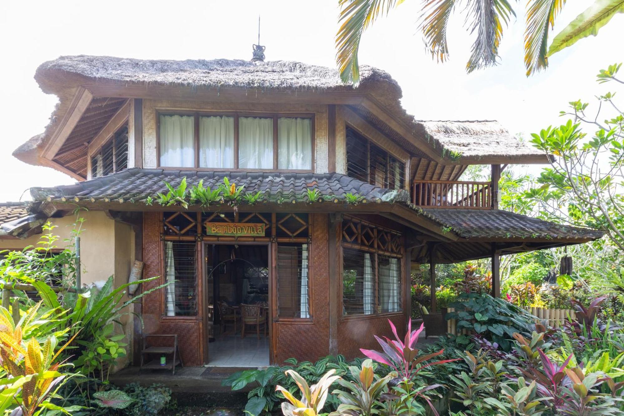 Bali Firefly Bnb Убуд Стая снимка