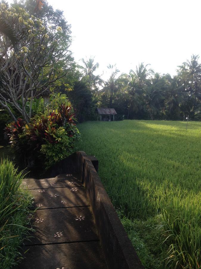 Bali Firefly Bnb Убуд Екстериор снимка