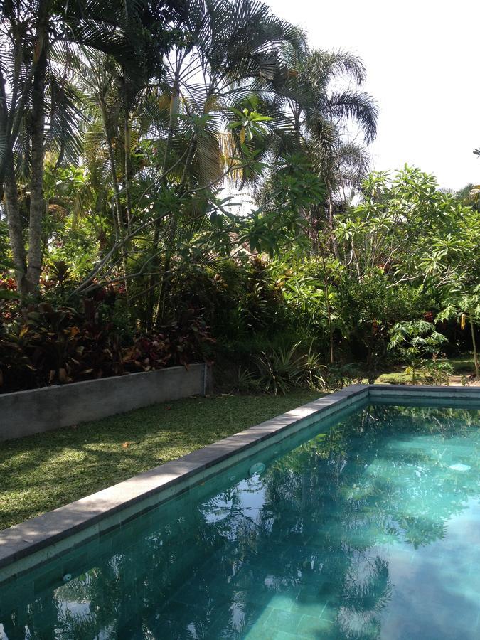 Bali Firefly Bnb Убуд Екстериор снимка