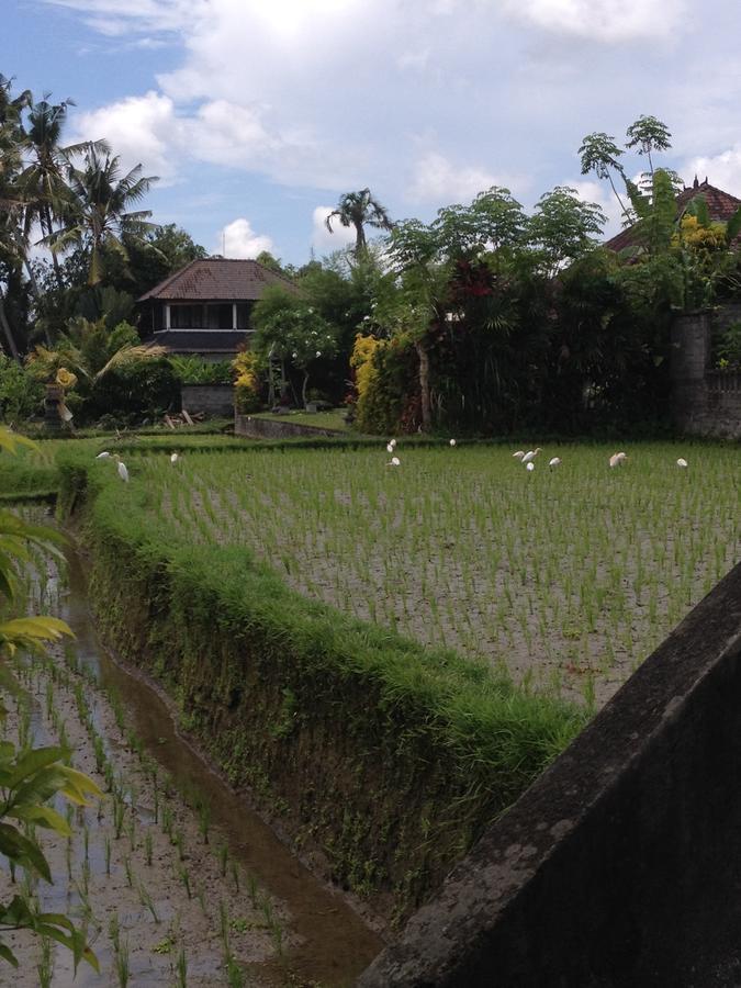 Bali Firefly Bnb Убуд Екстериор снимка